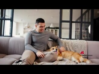 Animali ricerca cresce e supera 20 milioni il numero di cani e gatti in Italia