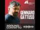 Gennaro Gattuso un Ringhio per la Nazionale
