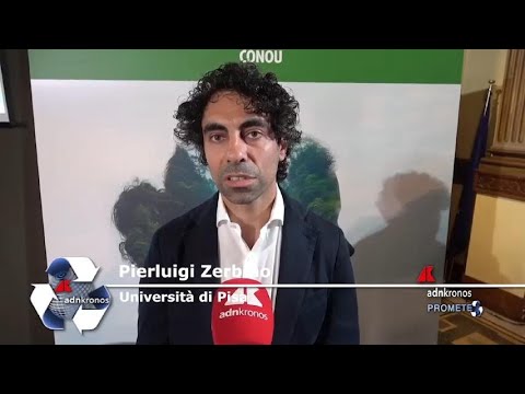 Sostenibilità, Zerbino (UNIPI): “Eco-ansia necessita di risposte concrete”