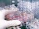 Fecondazione non solo endometriosi il nuovo protocllo che combatte ladenomiosi