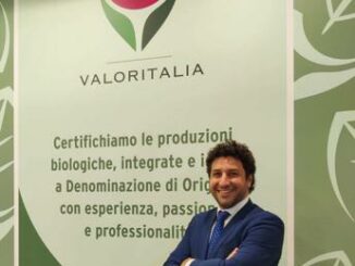 Digitalizzazione, semplificazione e transizione green delle aziende agroalimentari 1 Digitalizzazione semplificazione e transizione green delle aziende agroalimentari