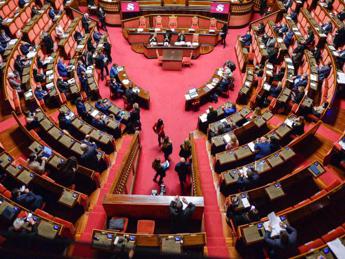 Ddl concorrenza, via libera dal Senato: da ambulanti a poteri Antitrust, le novità 4 Ddl concorrenza via libera dal Senato da ambulanti a poteri Antitrust le novita