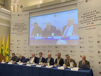 Contrabbando, Rapporto Maciste rivela che in 2022 in Ue persi 11,3 mld entrate fiscali 4 Contrabbando Rapporto Maciste rivela che in 2022 in Ue persi 113 mld entrate fiscali