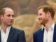 La riconciliazione fra William e Harry Solo alla morte del re lindiscrezione
