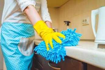 Lavoro domestico, Assindatcolf: decreto flussi insufficiente, servono 23mila quote all'anno 4 Lavoro domestico Assindatcolf decreto flussi insufficiente servono 23mila quote allanno