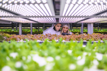 Agrolimentare, Ismea: “In primi 9 mesi export +6,1% a 47 mld, saldo resta negativo”