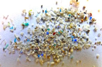 Scoperte le platistones, l’Antropocene colpisce ancora