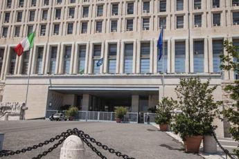 Spagna, rintracciata la bergamasca Roberta Cortesi