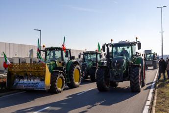 Baltera: “condivido proteste agricoltori, da import riso a carne coltivata Ue crea difficoltà”