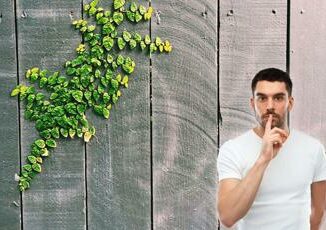 Che cosa e il green hushing e perche e un problema