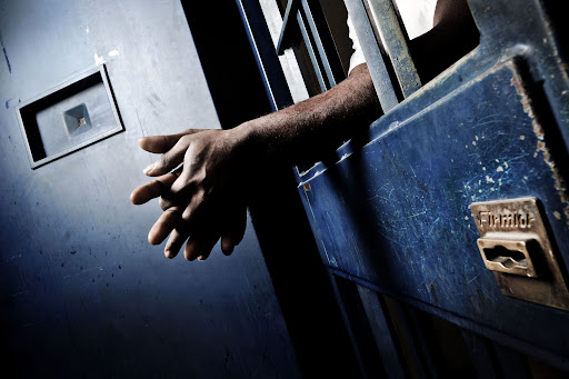 La situazione carceraria degli autori di reati sessuali “sex offender”
