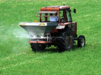 Tumori 22 pesticidi collegati al cancro della prostata 4 alla mortalita