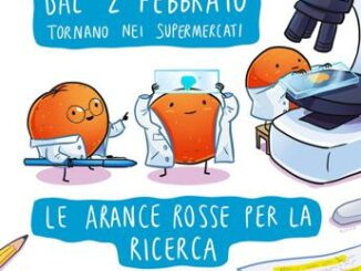 World cancer day, in 10mila supermercati le arance Airc per la ricerca 4 World cancer day in 10mila supermercati le arance Airc per la ricerca