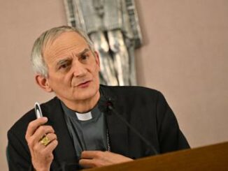 Zuppi: "Un piano che dia fiducia e speranza di trasmettere la vita" 3 Zuppi Un piano che dia fiducia e speranza di trasmettere la vita