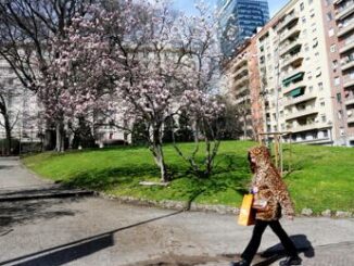 In arrivo un assaggio di primavera, le previsioni meteo di oggi e domani 4 In arrivo un assaggio di primavera le previsioni meteo di oggi e domani