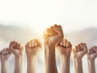 La libertà di sciopero dopo gli interventi della giurisprudenza costituzionale 1 file FiMbha