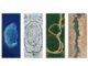 Doodle di Google di oggi per la Giornata della Terra 2024