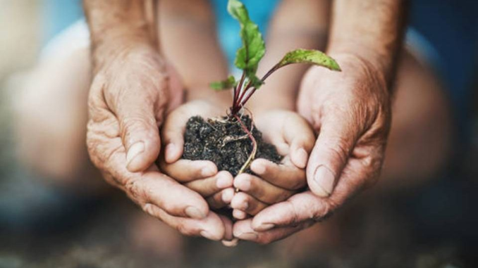 La tutela penale dell’ambiente: l’analisi del formante legislativo tra normativa interna e comunitaria