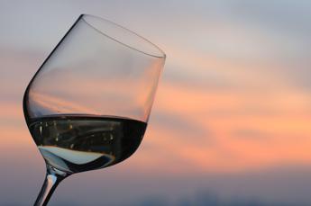Cuore a rischio, alert della scienza per chi beve in volo