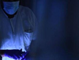 Aviaria primo decesso in Messico morta bimba di 3 anni