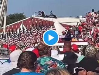 Trump ferito in attentato, il momento in cui viene colpito - Video 3 Trump ferito in attentato il momento in cui viene colpito Video