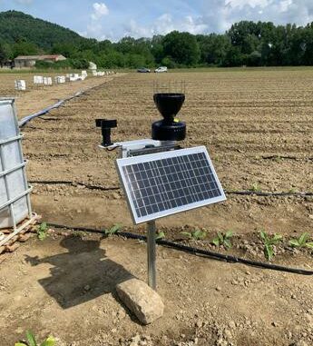 Bat Italia lancia Weplant, Ia e innovazione al servizio di una agricoltura sostenibile