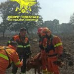Incendi in Sardegna: Interventi aerei a Sagama e Monastir, salvato dalle fiamme un piccolo vitello