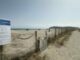 spiaggia per cani al poetto 150x150 oFYslJ