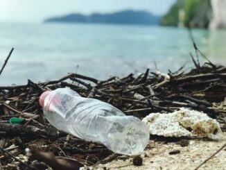 Dagli Usa una nuova bioplastica per ridurre l’inquinamento marino 2 Dagli Usa una nuova bioplastica per ridurre linquinamento marino