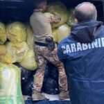 Sarule: Arrestato 37enne per detenzione di quasi 4 tonnellate di Marijuana ad alto THC