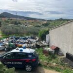 Sgomberato canile abusivo a Flumini di Quartu Sant’Elena: trasferiti oltre 180 cani