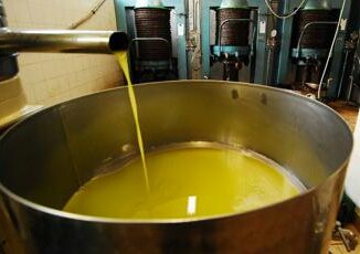 Altroconsumo rincari olio extravergine oliva arriva test comparativo per risparmiare