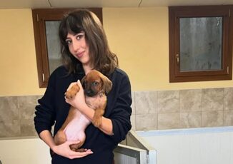 Cecilia Sala arrestata, il compagno Daniele Raineri: "Saprà di tutto l'affetto" 2 Cecilia Sala arrestata il compagno Daniele Raineri Sapra di tutto laffetto
