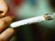 Nuovo codice strada cannabis e fumo passivo cosa captano i test e per quanto tempo