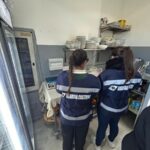 Operazione e-FISHING: Guardia Costiera Protegge la Filiera Ittica Made in Italy