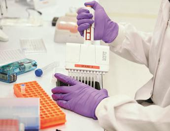 Torna dal Congo e muore, Rocca: “Dai primi esami si tratta di malaria”