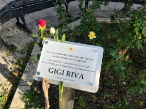 Un Anno senza GIGI RIVA: Quando Gigi Riva tornerà 1 Un Targa e un Ulivo per Gigi Riva