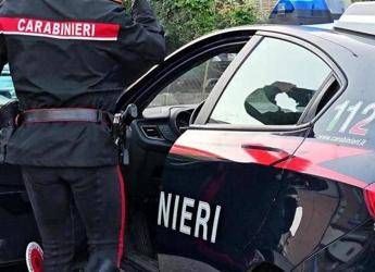 Donna morta a Marsala, fermato il figlio: “Gravi lesioni per percosse subite”