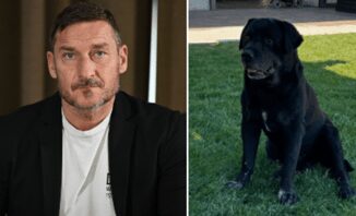 Francesco Totti morto il cane di famiglia Diego il dolore della figlia Chanel