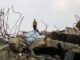 Gaza Italia con Francia Germania e Gb Bene iniziativa araba