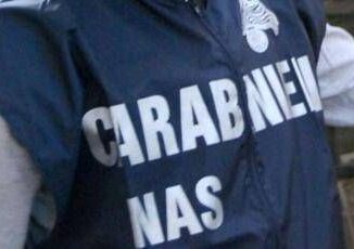 Larve nella pasta al pomodoro degli alunni verifiche Nas in mensa elementari a Roncade