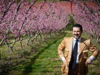 Marche in fiore gli alberi della pesca Saturnia lagricoltura di qualita diventa attrazione turistica