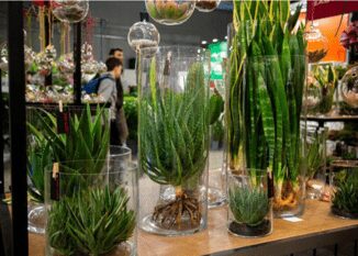 Myplant Garden edizione 2025 da record focus su mercati e dossier comparto verde