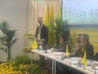 Piante e fiori made in Italy da record nel 2024 toccati i 33 mld di euro