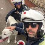 Cagliari: Polizia Locale salva un cane smarrito e lo riconsegna al proprietario
