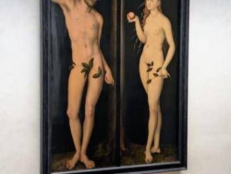 Agli Uffizi una sola cornice i capolavori di Cranach Adamo ed Eva