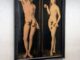 Agli Uffizi una sola cornice i capolavori di Cranach Adamo ed Eva