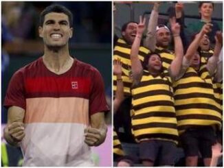 Alcaraz tifosi speciali a Indian Wells sugli spalti vestiti da api