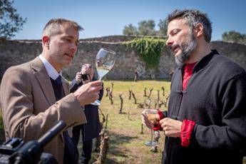 Arriva l’archeo-vino, tra i ruderi di Pompei alleanza tra viticoltura e storia