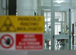 Aviaria lallarme Ce rischio che diventi pandemia come il Covid